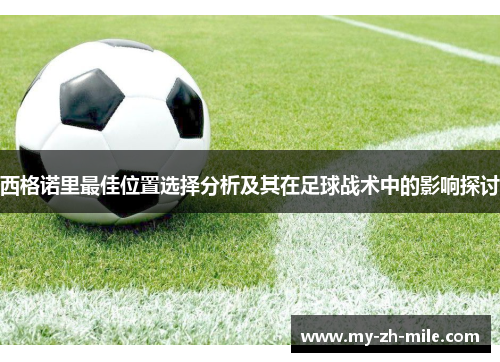 西格诺里最佳位置选择分析及其在足球战术中的影响探讨