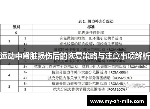 运动中肾脏损伤后的恢复策略与注意事项解析
