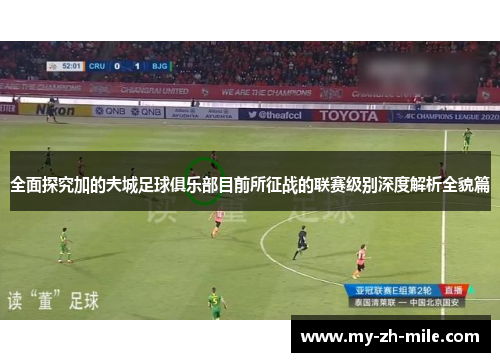 全面探究加的夫城足球俱乐部目前所征战的联赛级别深度解析全貌篇