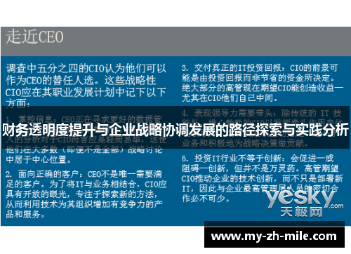 财务透明度提升与企业战略协调发展的路径探索与实践分析 财务透明度提升与企业战略协调发展的路径探索与实践分析
