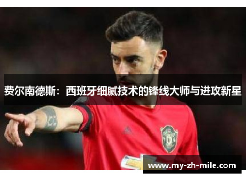 费尔南德斯:西班牙细腻技术的锋线大师与进攻新星 费尔南德斯:西班牙细腻技术的锋线大师与进攻新星