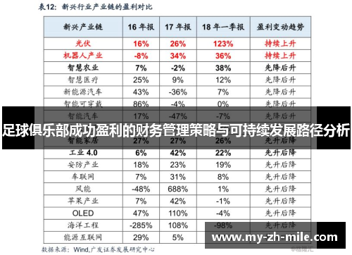 足球俱乐部成功盈利的财务管理策略与可持续发展路径分析 足球俱乐部成功盈利的财务管理策略与可持续发展路径分析